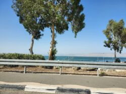 Mission to Israel. Beautiful, fresh, and refreshing is nearby but we only can see it from the distance. We are doing workshops and sessions with evacuees anв driving from one hotel to another, from one city to another... and we are happy. Right now the real beauty are Israelis. Am Isroel Chai!