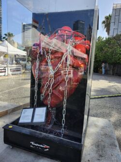 Mission to Israel. The Refugees Square in Tel Aviv.